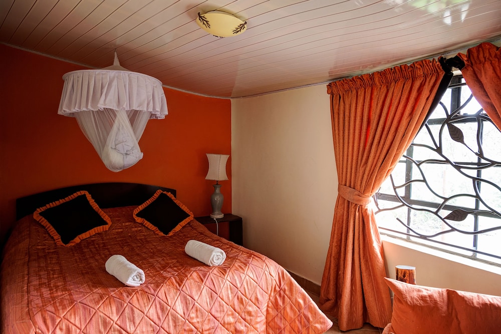Standard Double or Twin Room photo 1