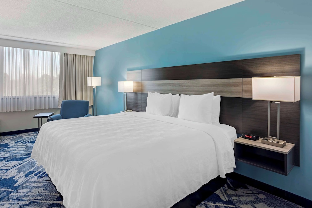 Standard Room,1 King Bed, Accessible, Bathtub, Refrigerator & Microwave - Photo 2