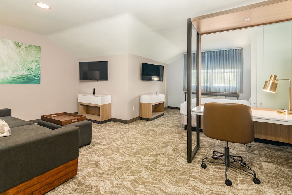 Executive Suite, 1 King Bed - Photo 12