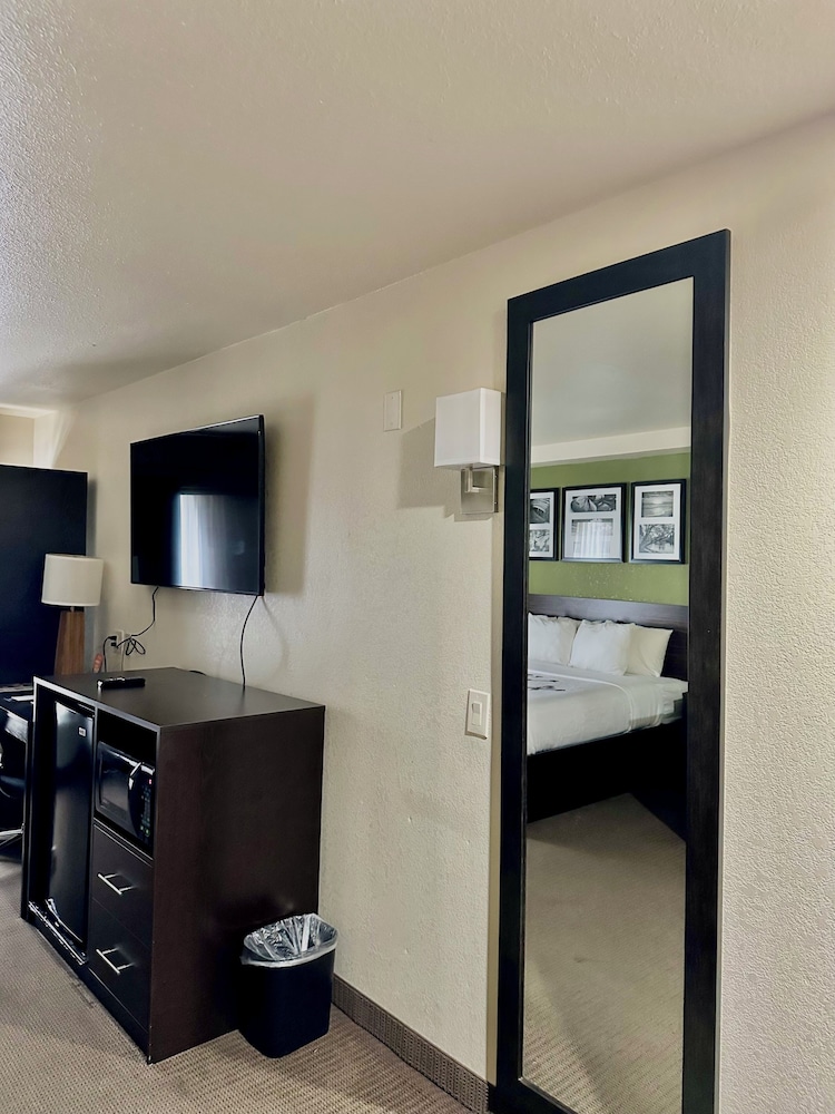 Suite, 1 King Bed with Sofa bed, Non Smoking photo 2