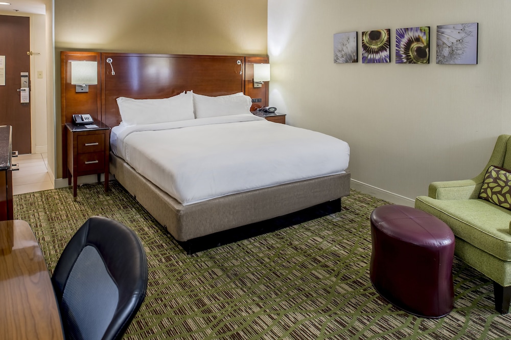 Executive Room, 1 King Bed with Sofa bed, Lake View - Photo 4