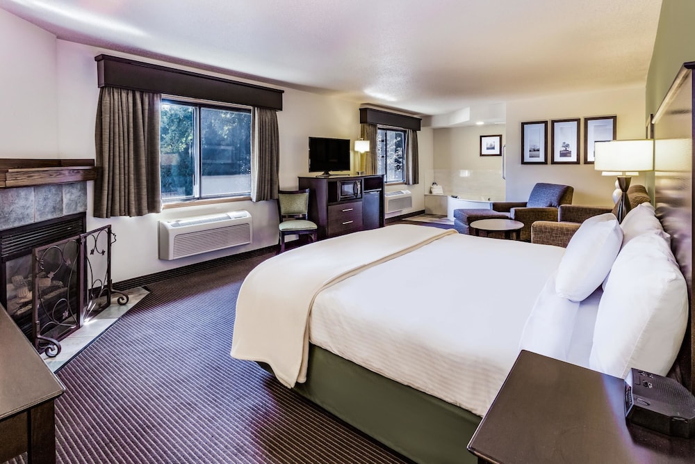 Premier Suite, 1 King Bed, Non Smoking photo 1