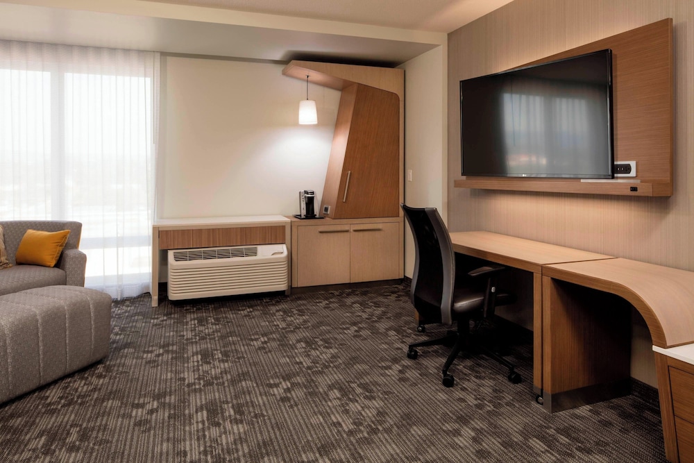 Suite, 1 King Bed with Sofa bed, City View