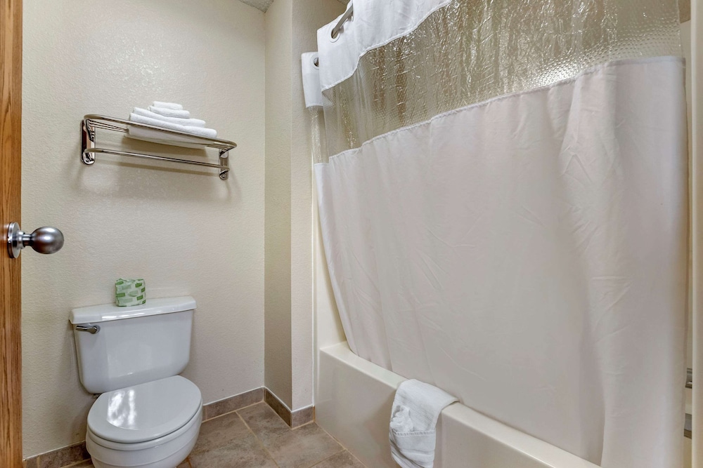 Suite, 1 King Bed, Non Smoking (Efficiency) - Photo 4