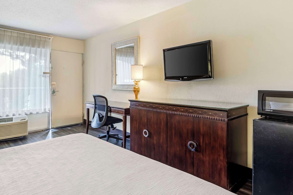 Suite, 1 King Bed with Sofa bed, Non Smoking photo 3