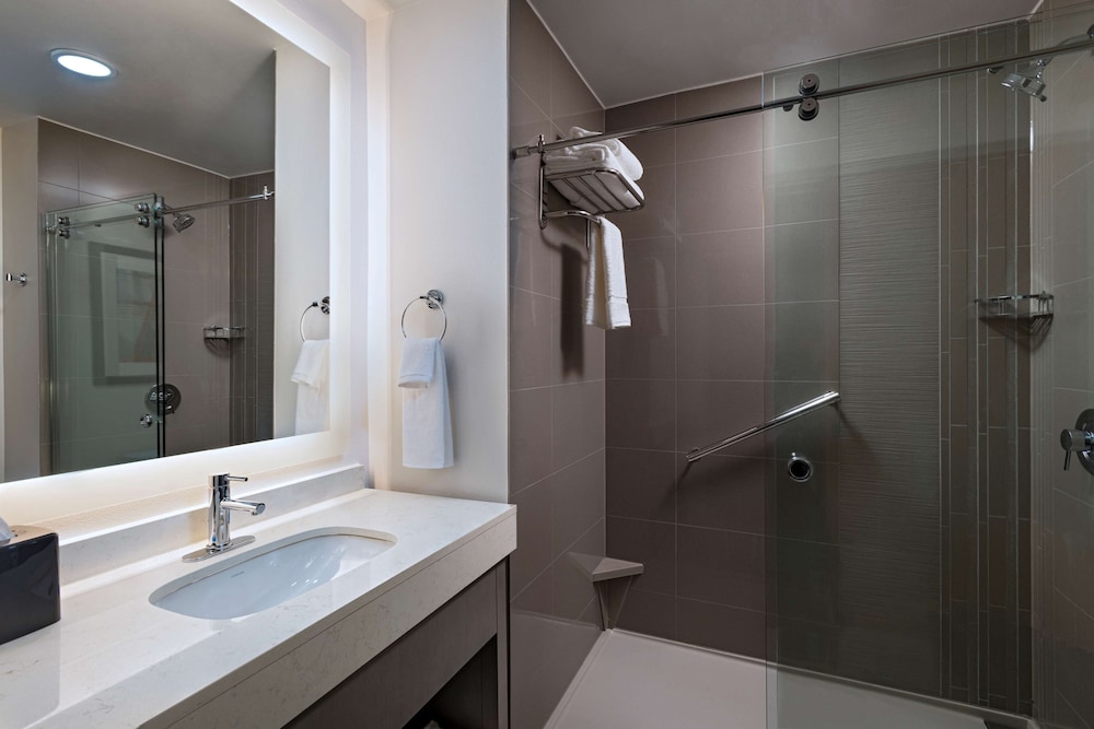 Suite, 1 Bedroom - Photo 5