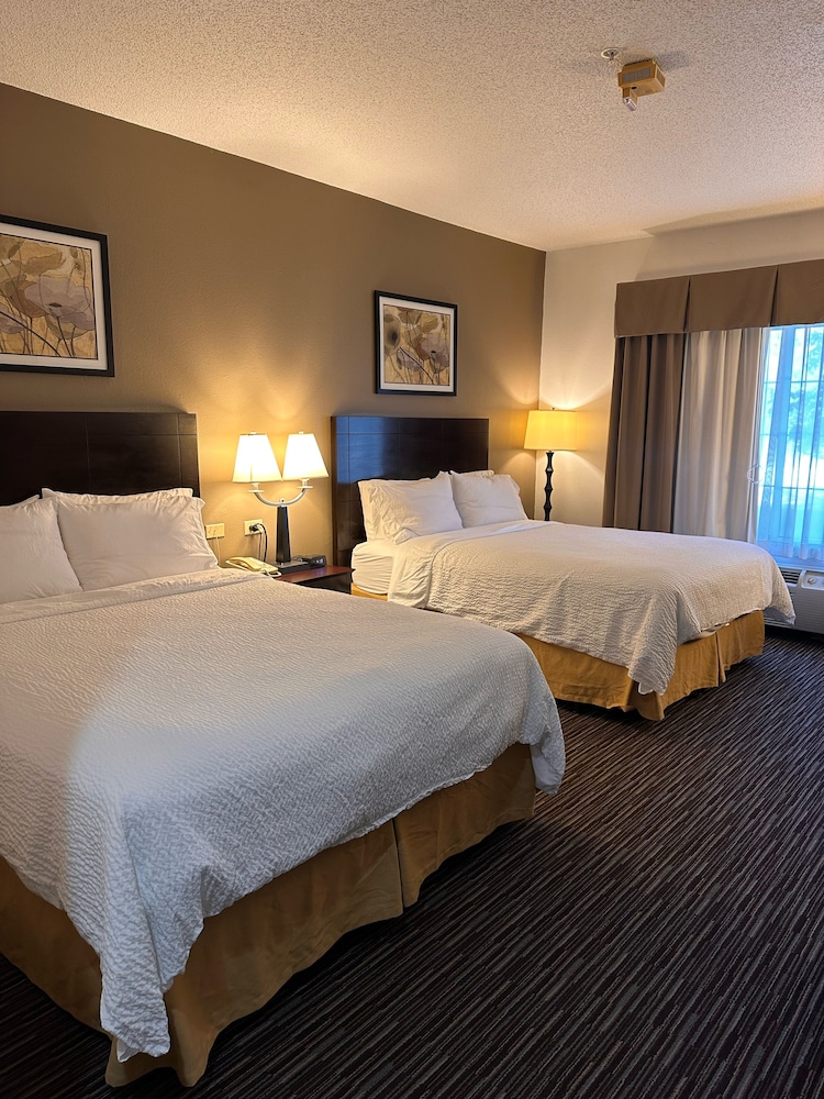 Suite, 1 Bedroom, Accessible (Communications)