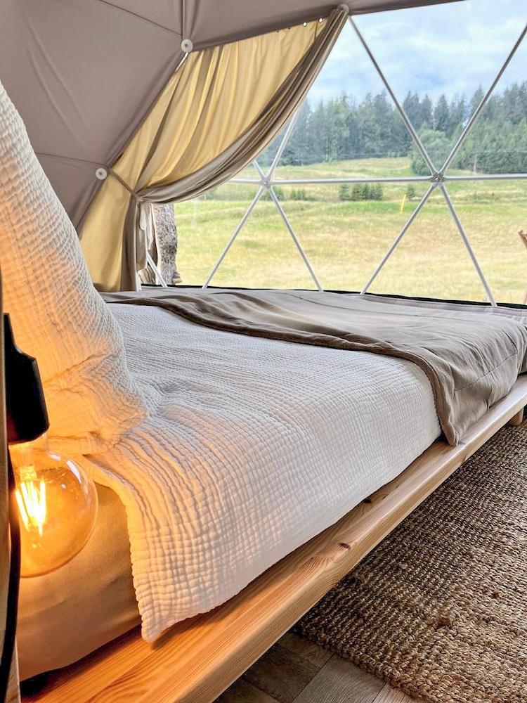 Glamping Dome photo 1