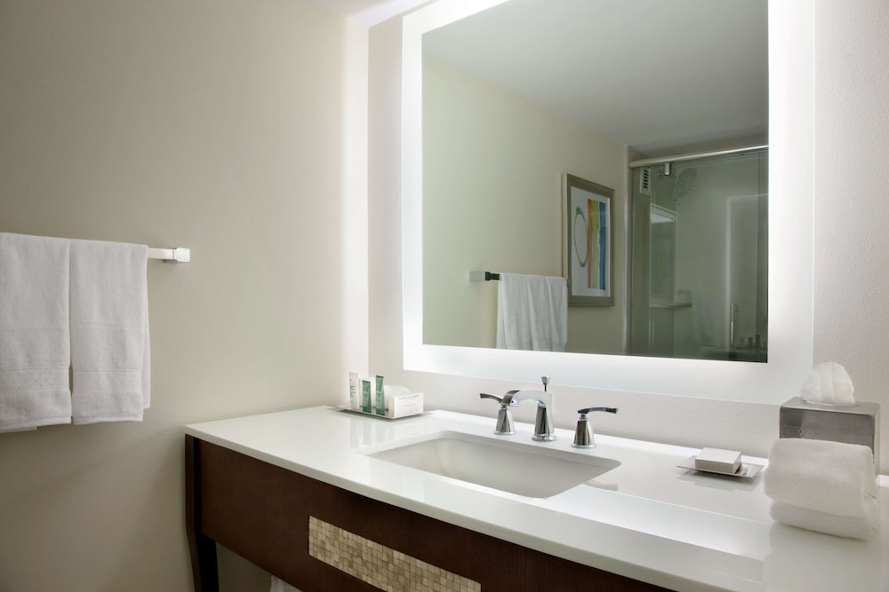 Suite, 1 King Bed, Accessible photo 2