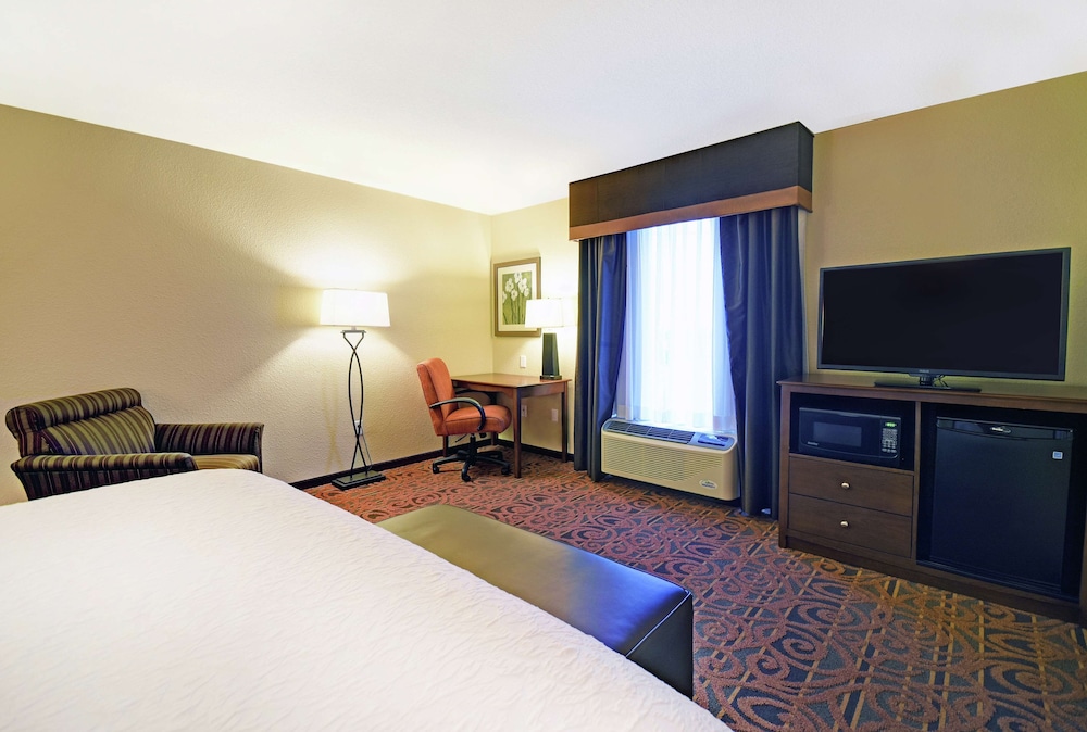 Room, 1 King Bed, Non Smoking, Refrigerator & Microwave