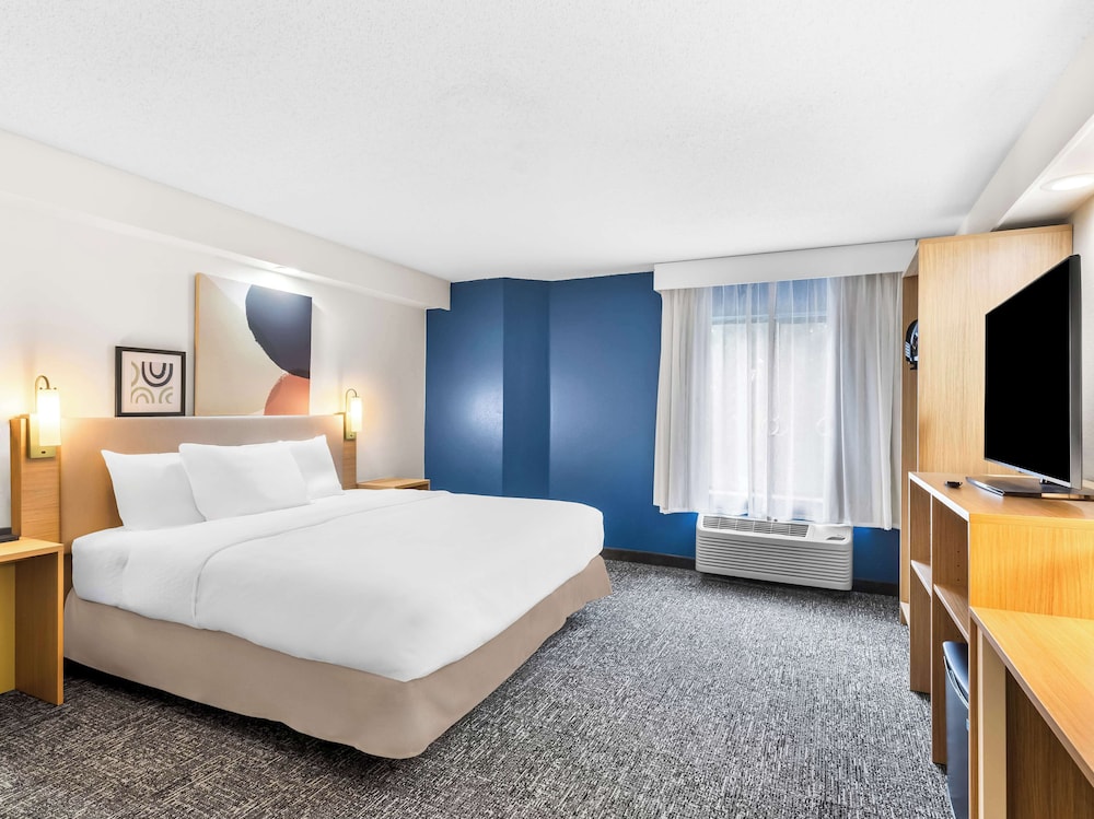 Room, 1 King Bed, Accessible (Mobility & Hearing, Roll-in Shower) - Photo 5