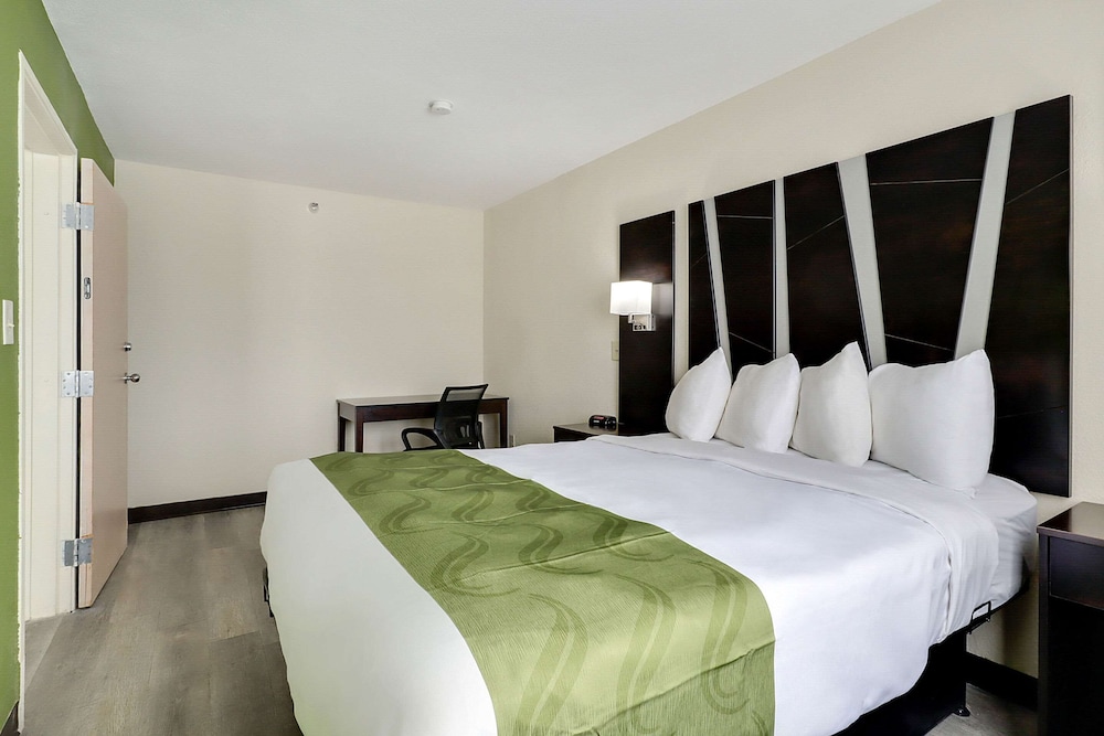 Suite, 1 King Bed - Photo 14