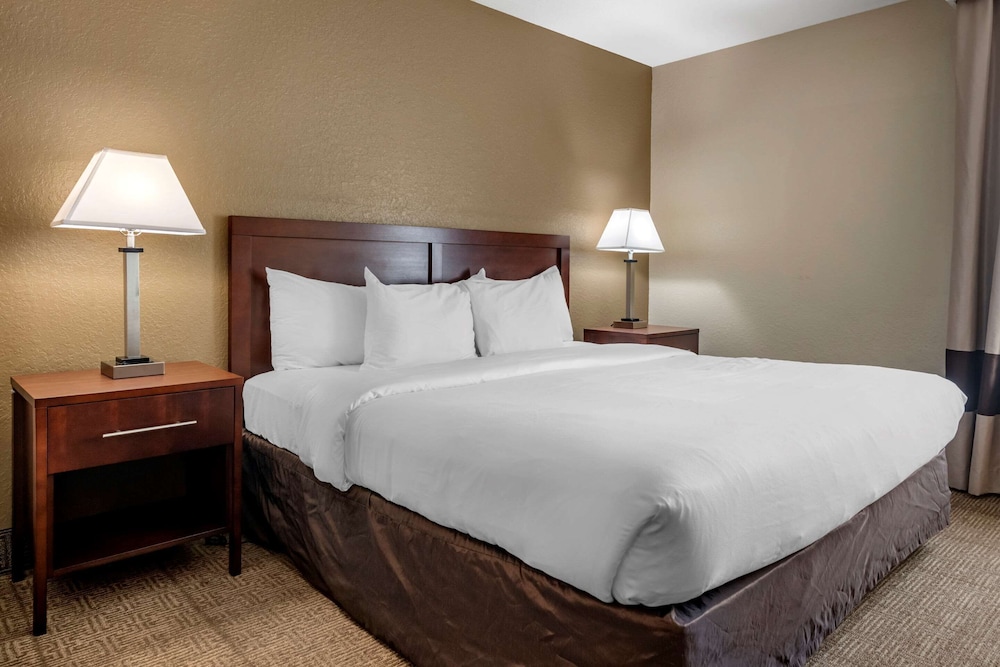 Suite, 1 King Bed with Sofa bed