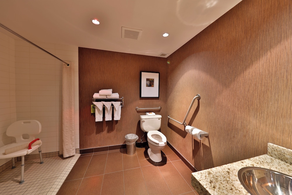 Premium Room, 1 King Bed, Accessible - Photo 3