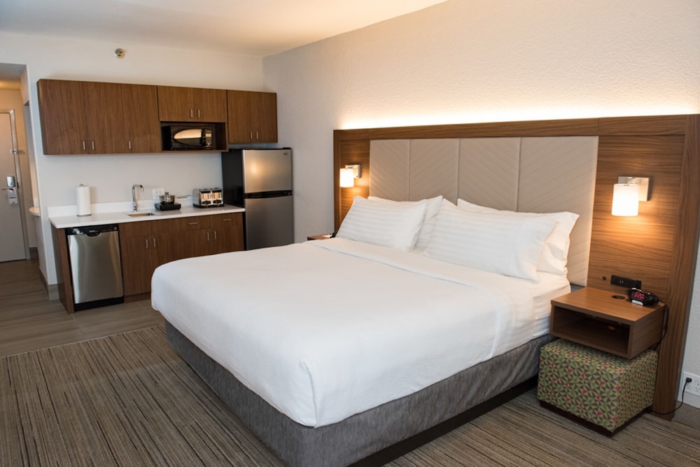Suite, 1 King Bed - Photo 1