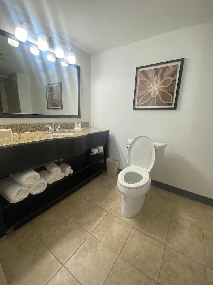 Deluxe Studio Suite, 1 King Bed, Non Smoking - Photo 9