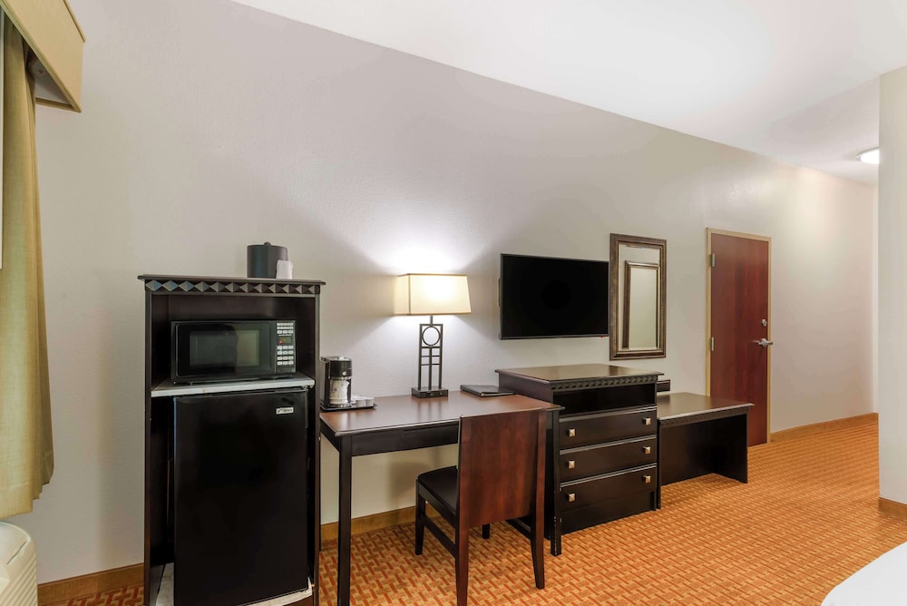 Standard Room, 1 King Bed, Non Smoking, Refrigerator & Microwave photo 3