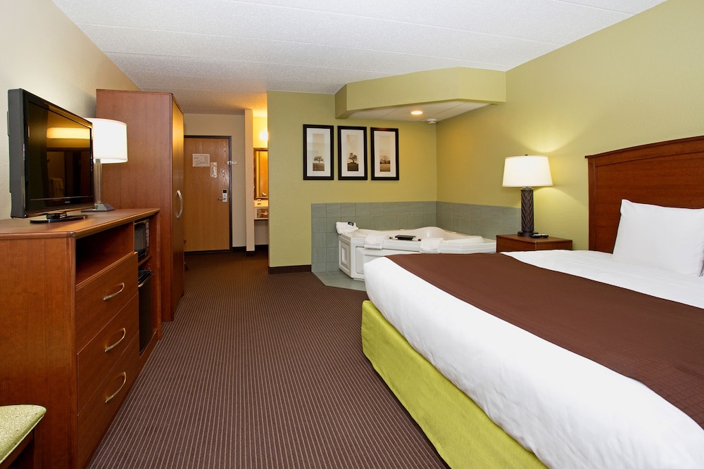 Studio Suite, 1 King Bed with Sofa bed, Non Smoking (Jetted Tub) photo 2