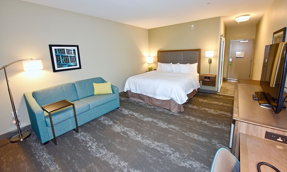 Room, 1 King Bed with Sofa bed, Refrigerator & Microwave photo 2