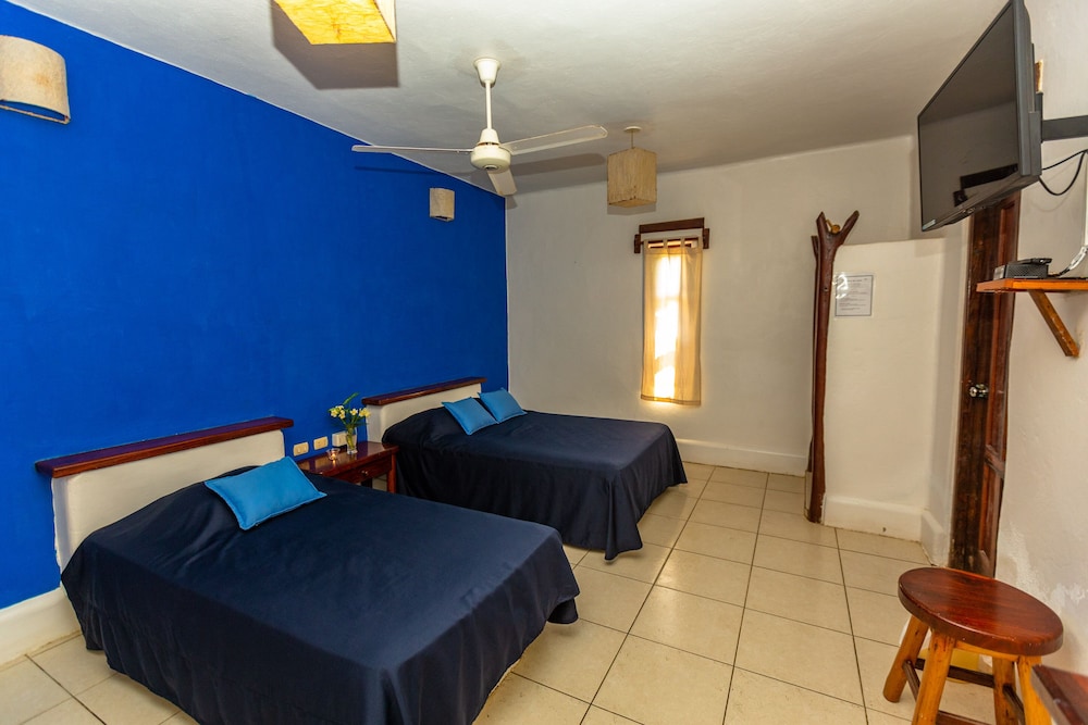 Habitacion Triple, vistas al Jardin y con TV. photo 3