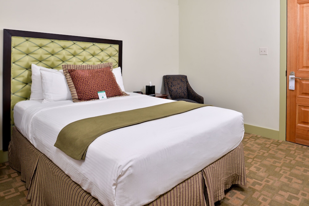 Suite, 1 Queen Bed photo 1