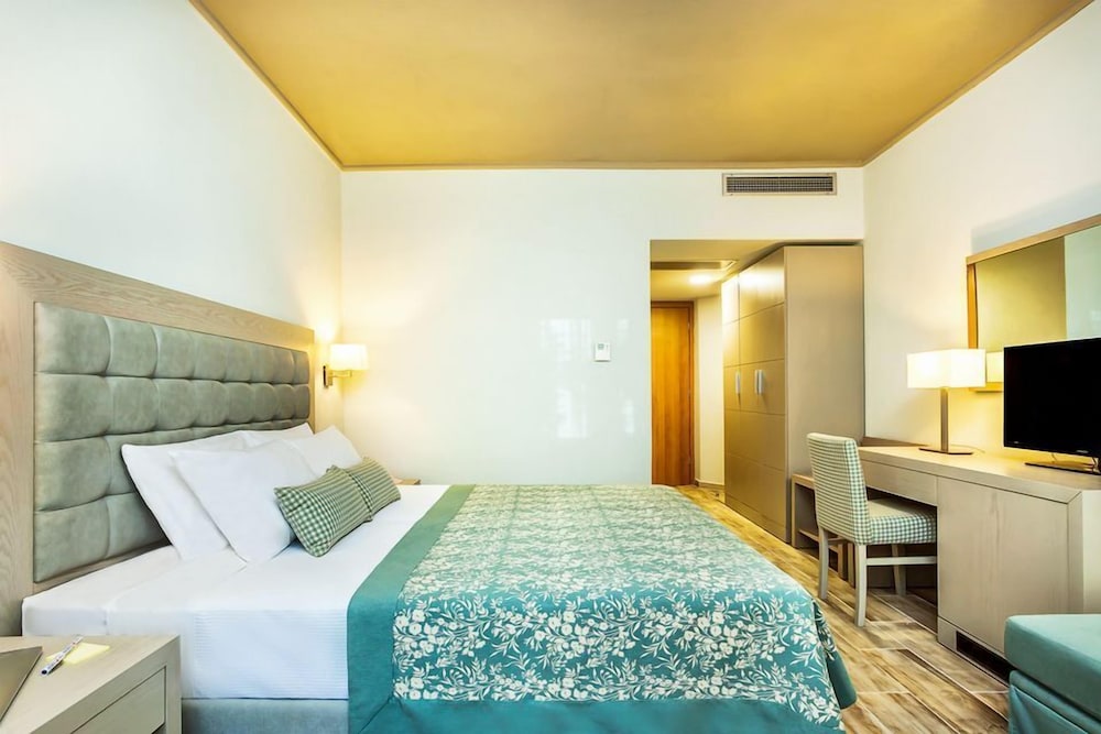 Double Room (Partial Mountain View) photo 3