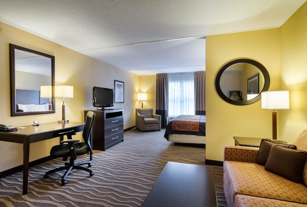 Standard Room, 1 King Bed with Sofa bed photo 3