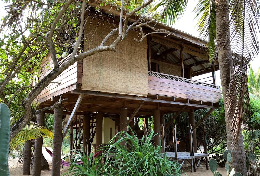 Tree House photo 2