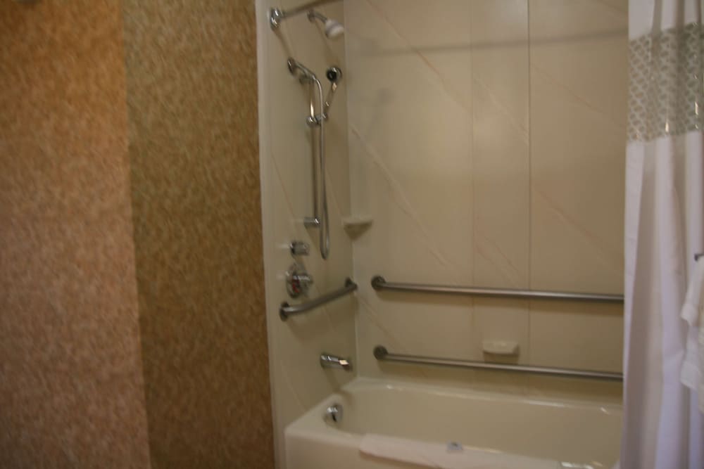 Room, 1 King Bed, Accessible - Photo 5