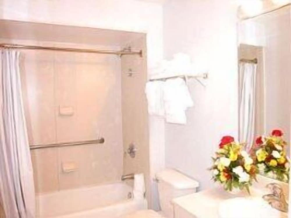 Standard Suite, 1 King Bed - Photo 9
