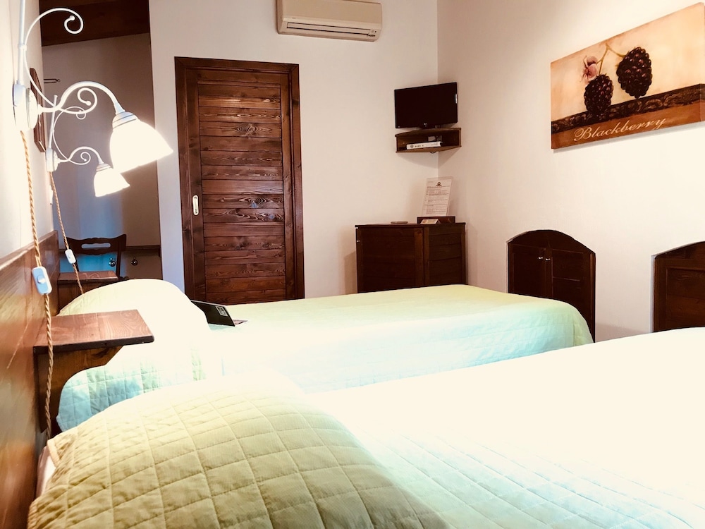 Single Room photo 1