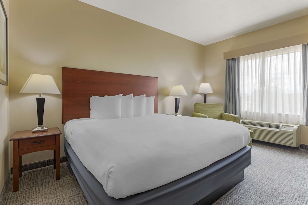Standard Room, 1 King Bed, Non Smoking, Refrigerator & Microwave photo 2