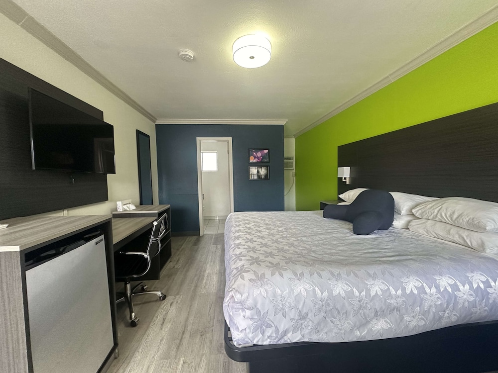 Room, 1 King Bed, Accessible, Non Smoking photo 1