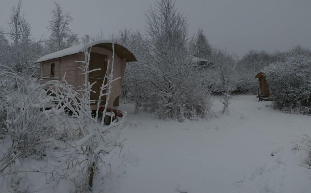 Mobile Home (7) photo 2