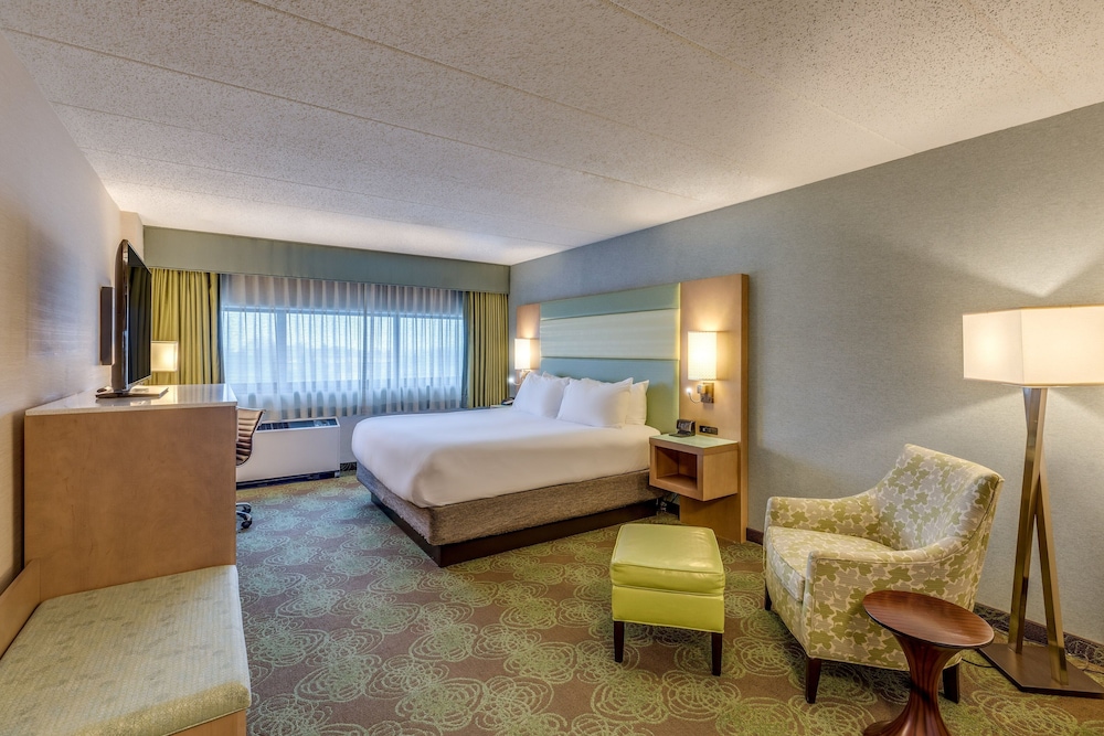 Suite, 1 Bedroom photo 2