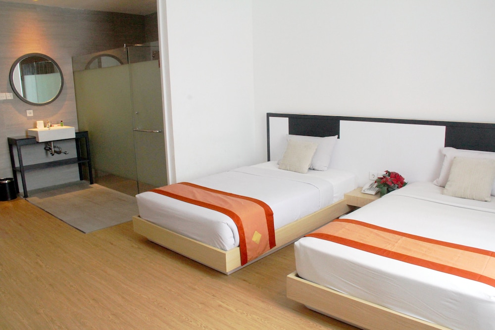 Deluxe Double or Twin Room photo 3
