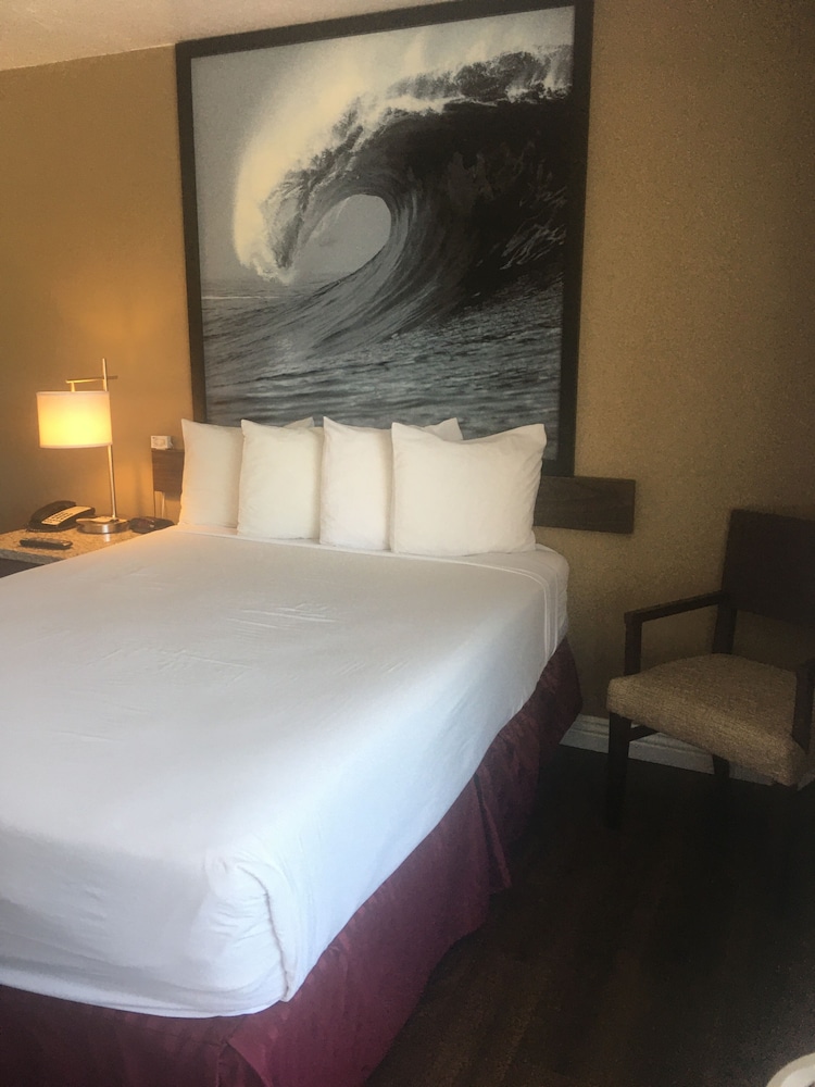 Standard Single Room, 1 Twin Bed, Accessible - Photo 5