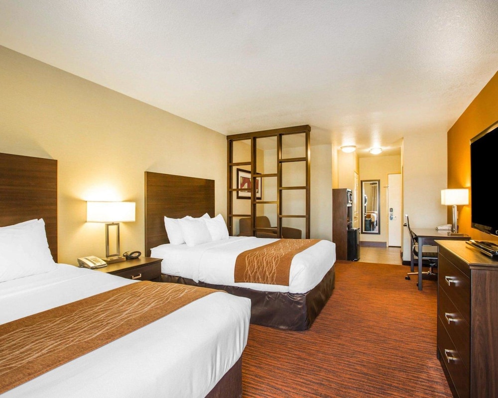 Suite - Photo 1
