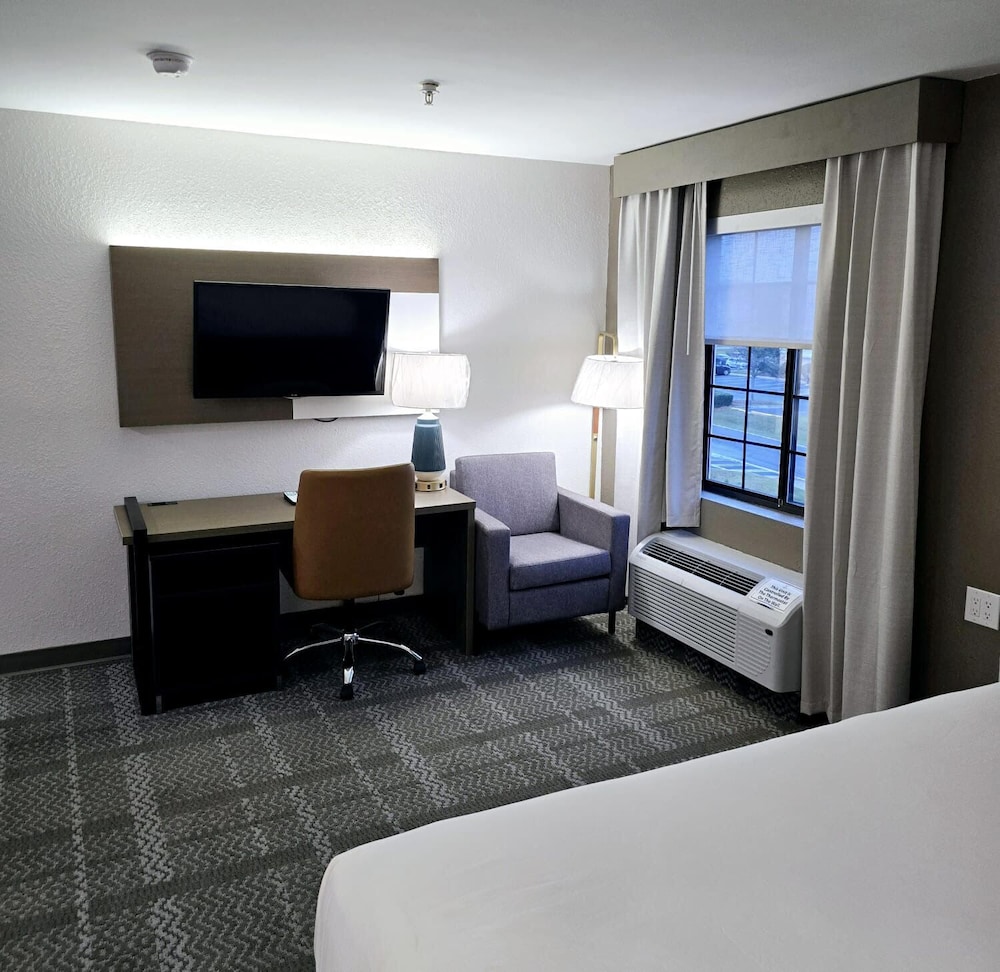 Room, 1 King Bed, Non Smoking - Photo 3