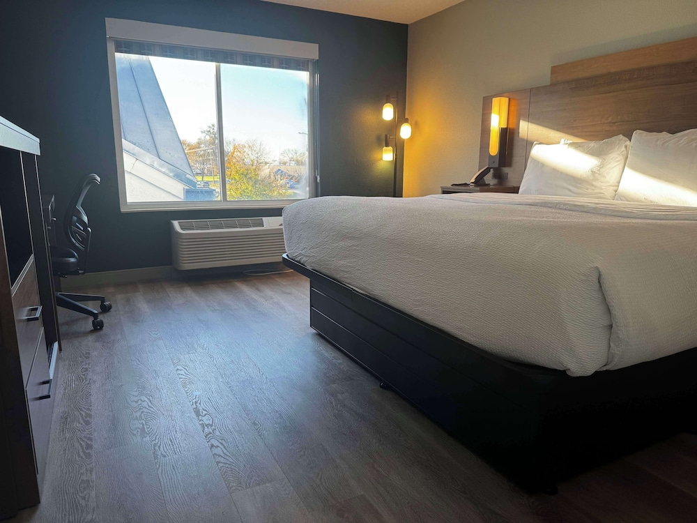 Standard Room, 1 King Bed, Accessible, Refrigerator & Microwave - Photo 1