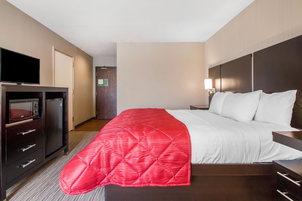 Standard Room, 1 King Bed, Accessible - Photo 3