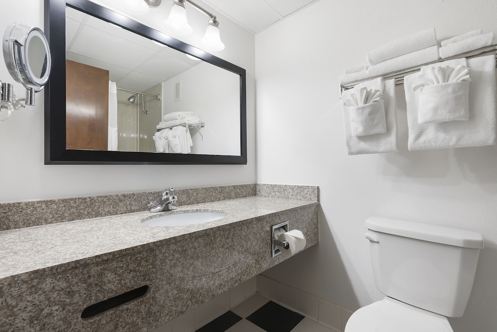 Standard King Room - Photo 9