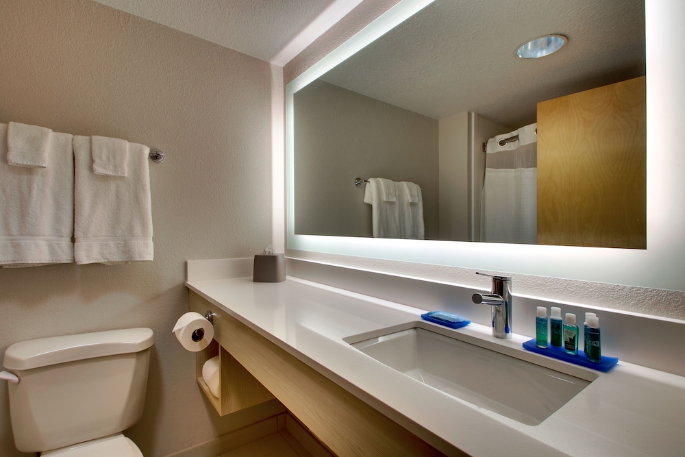 Suite, 1 King Bed, Accessible (Communications) - Photo 1