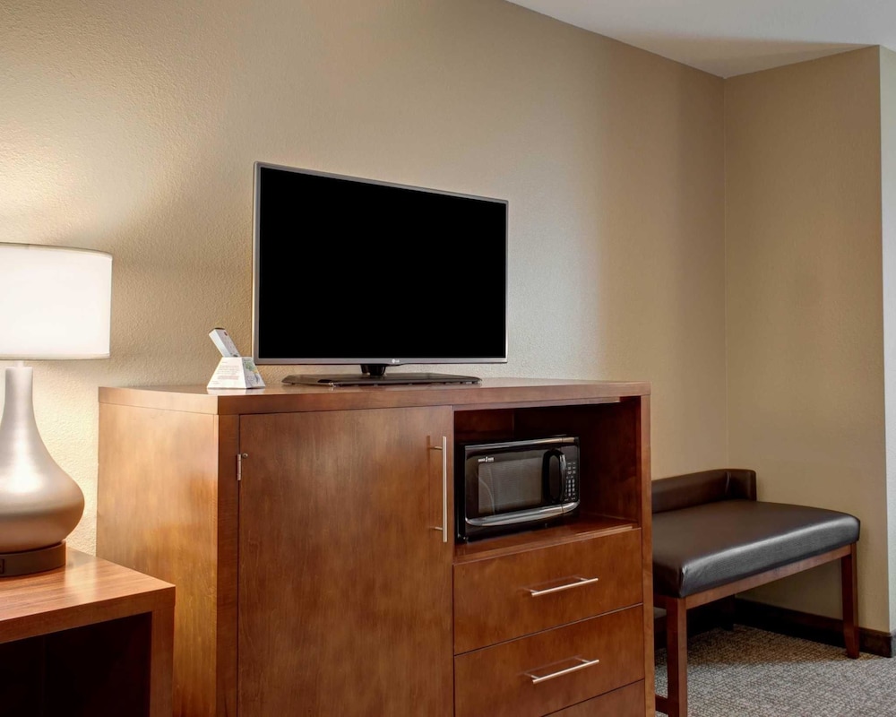 Suite, 1 King Bed with Sofa bed, Non Smoking photo 2