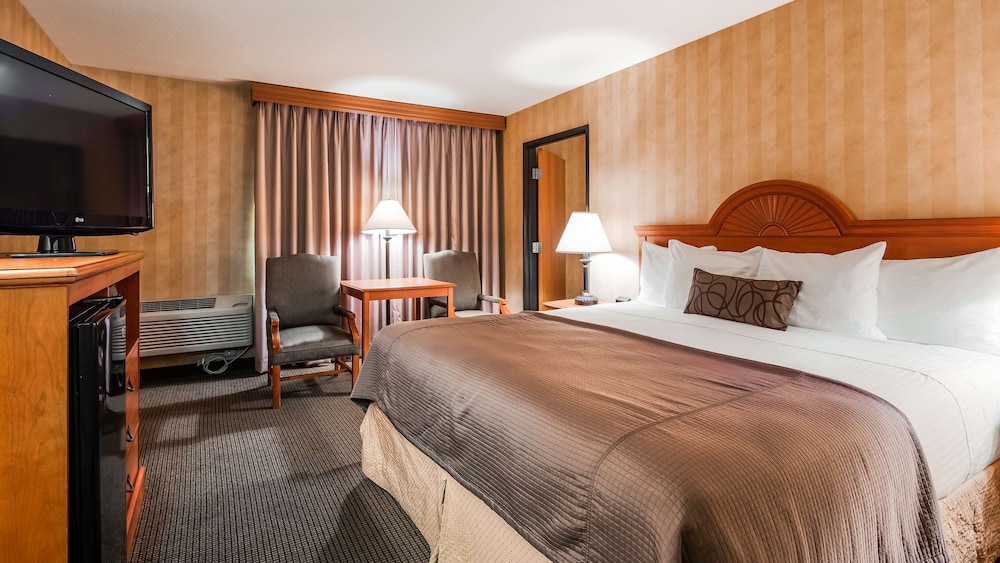 Standard Room, 1 King Bed, Non Smoking, Refrigerator & Microwave (Pet Friendly)