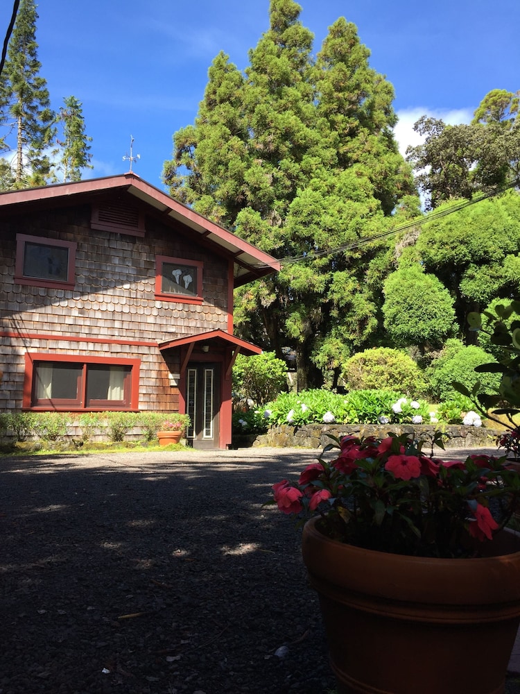 Volcano Village Estates, Photo 5