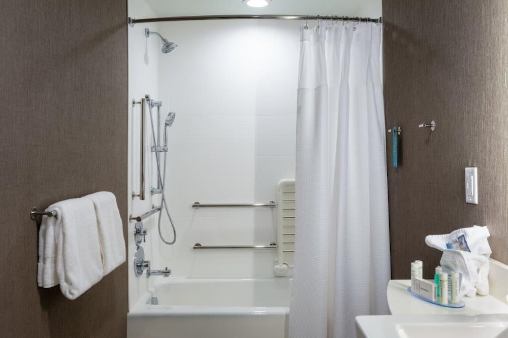 Suite, 1 King Bed (Mobility Accessible, Roll-In Shower) - Photo 2