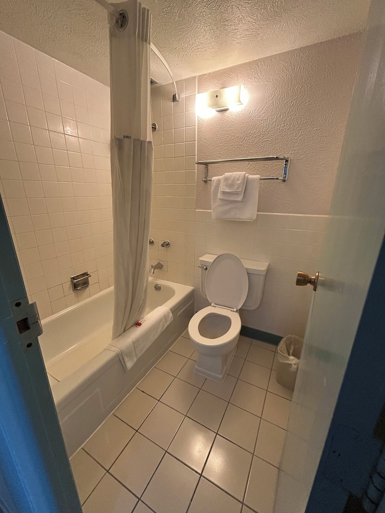 Standard Single Room, 1 Queen Bed, Non Smoking - Photo 11