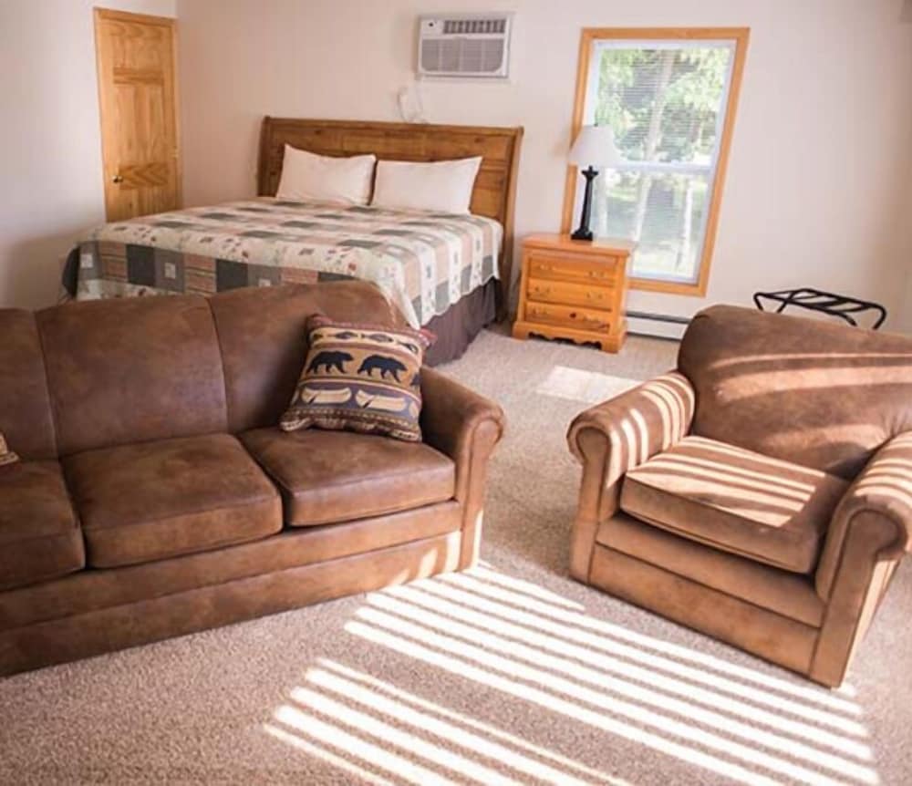 Apartment, 1 King Bed with Sofa bed