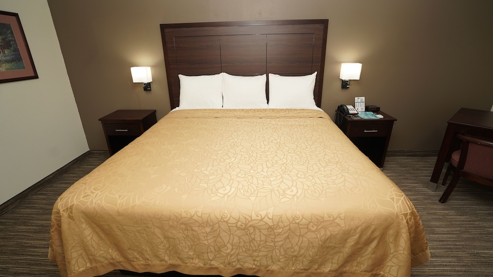 Standard Room, 1 King Bed photo 3